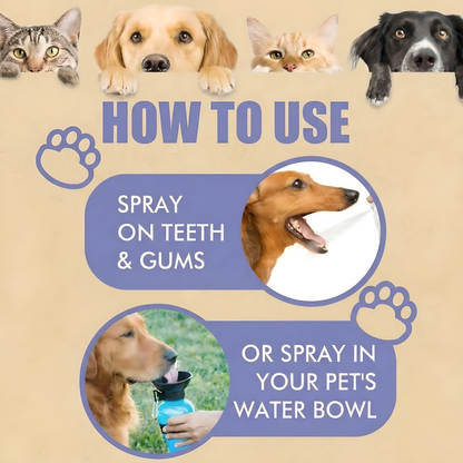 Give Your Pet Years More Healthy Life with FreshSmile™