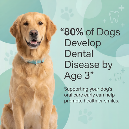 Give Your Pet Years More Healthy Life with FreshSmile™