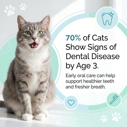Give Your Pet Years More Healthy Life with FreshSmile™
