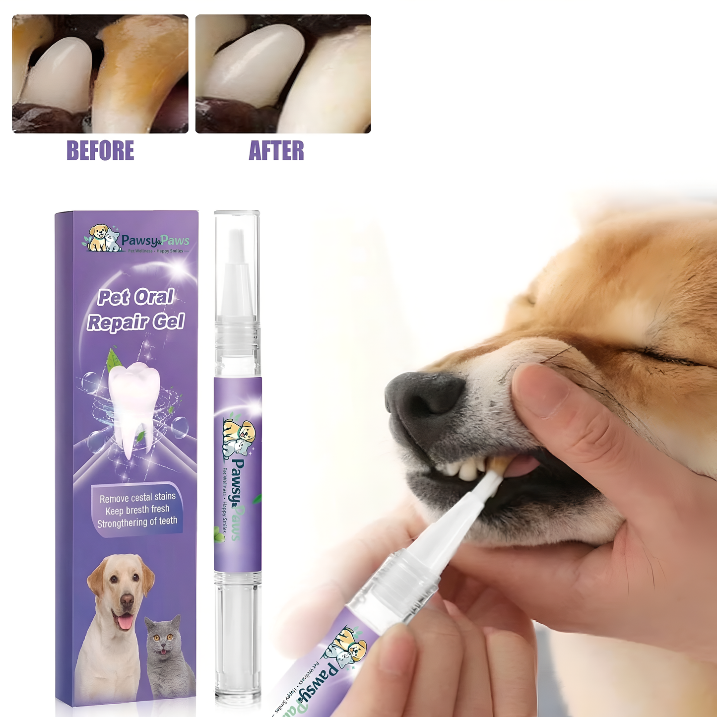 Target Stubborn Tartar & Yellow Teeth—Without Stressful Cleanings