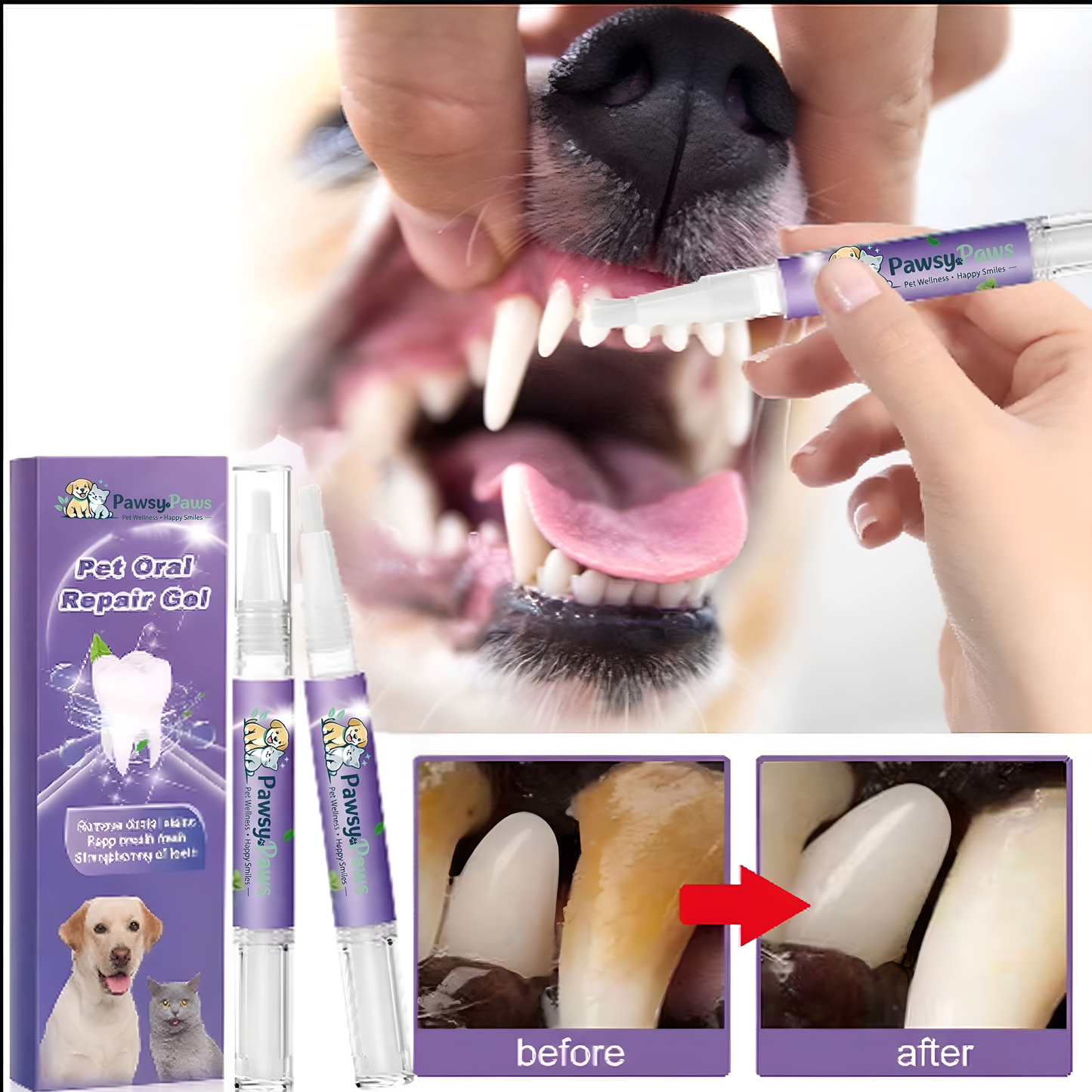 Target Stubborn Tartar & Yellow Teeth—Without Stressful Cleanings