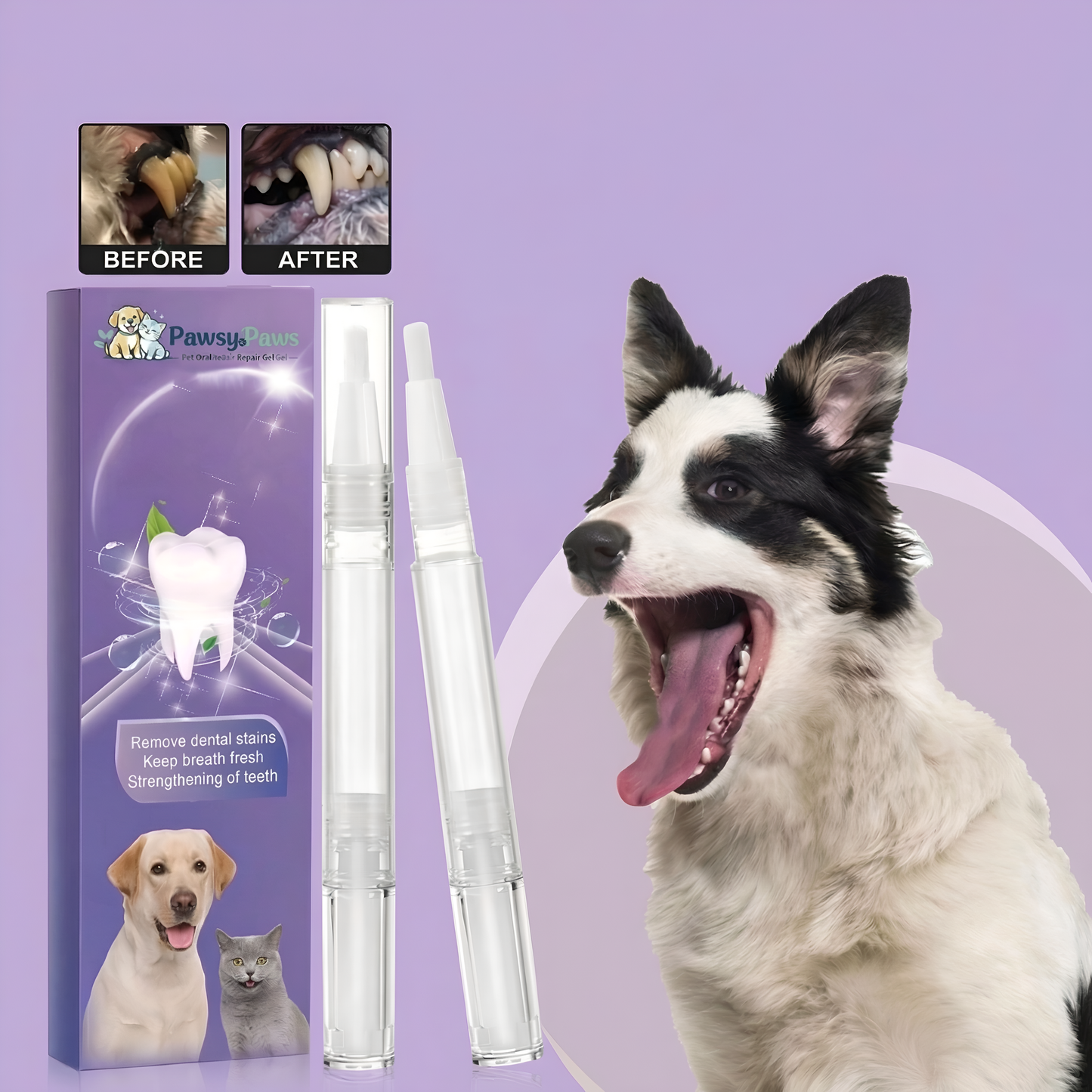 Target Stubborn Tartar & Yellow Teeth—Without Stressful Cleanings