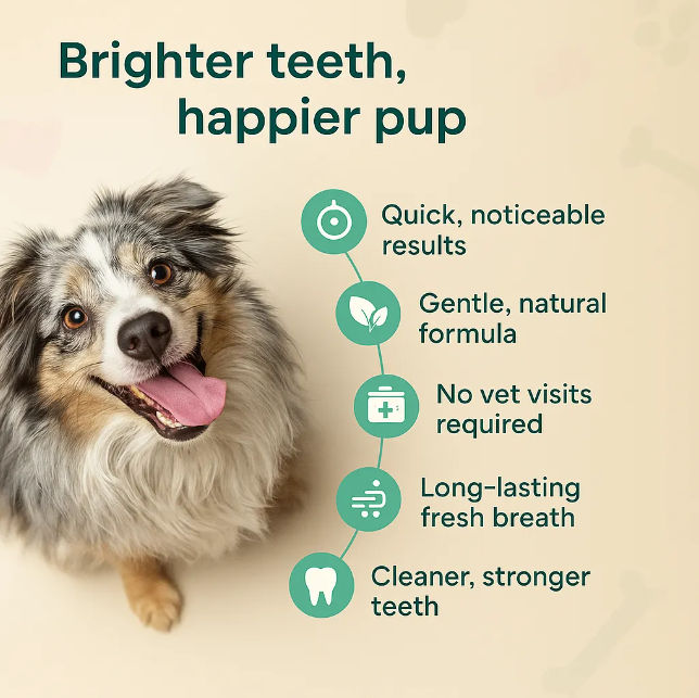Give Your Pet Years More Healthy Life with FreshSmile™